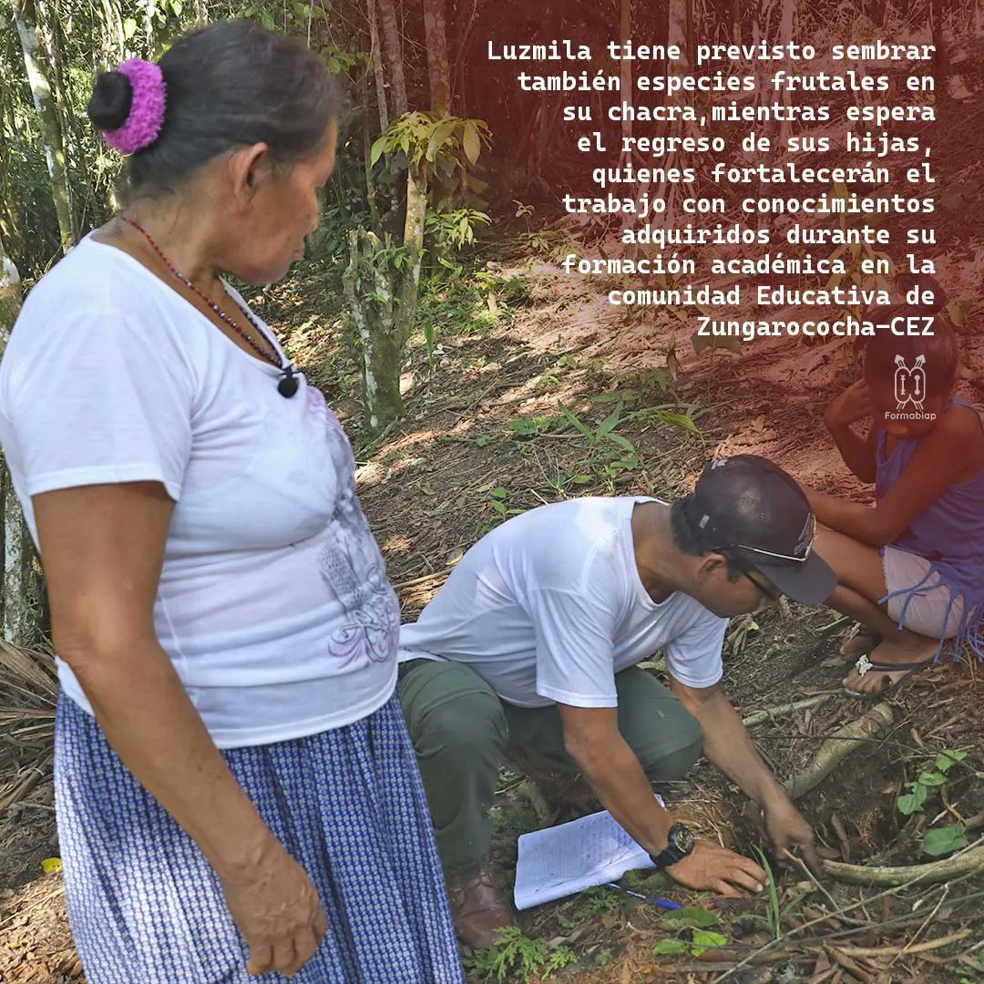 FORMABIAP tweet media