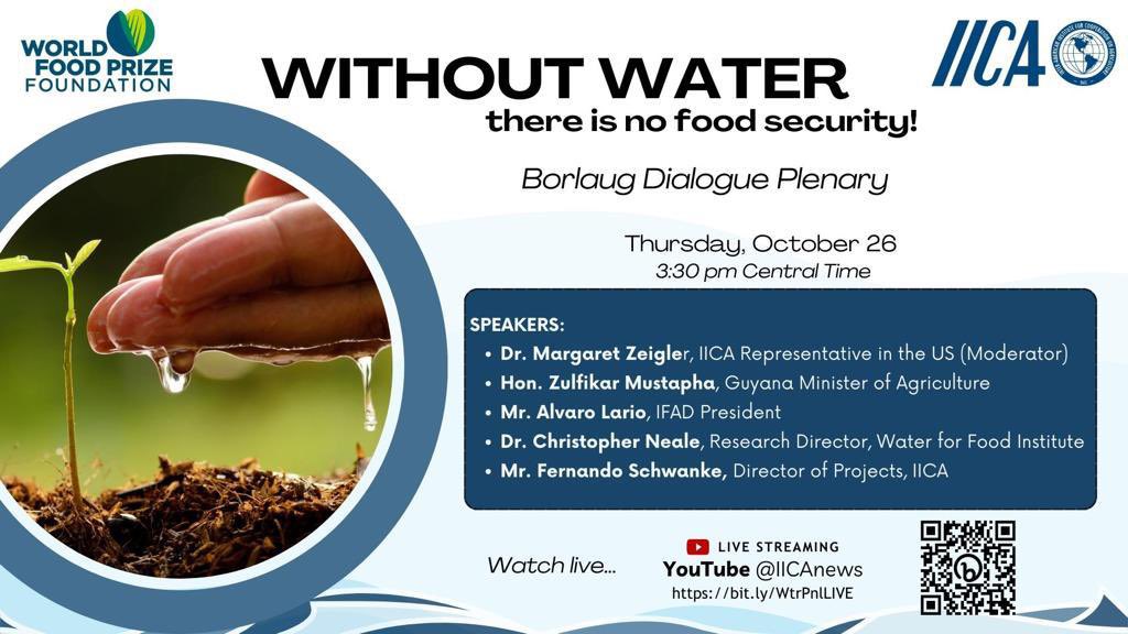 Fernando Schwanke tweet media