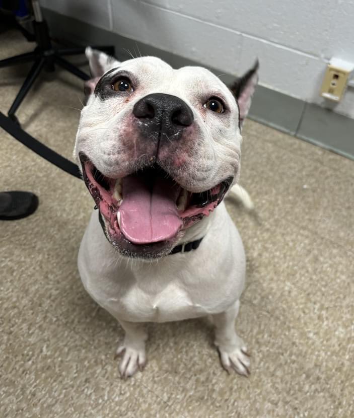 Andrew Weprin tweet media