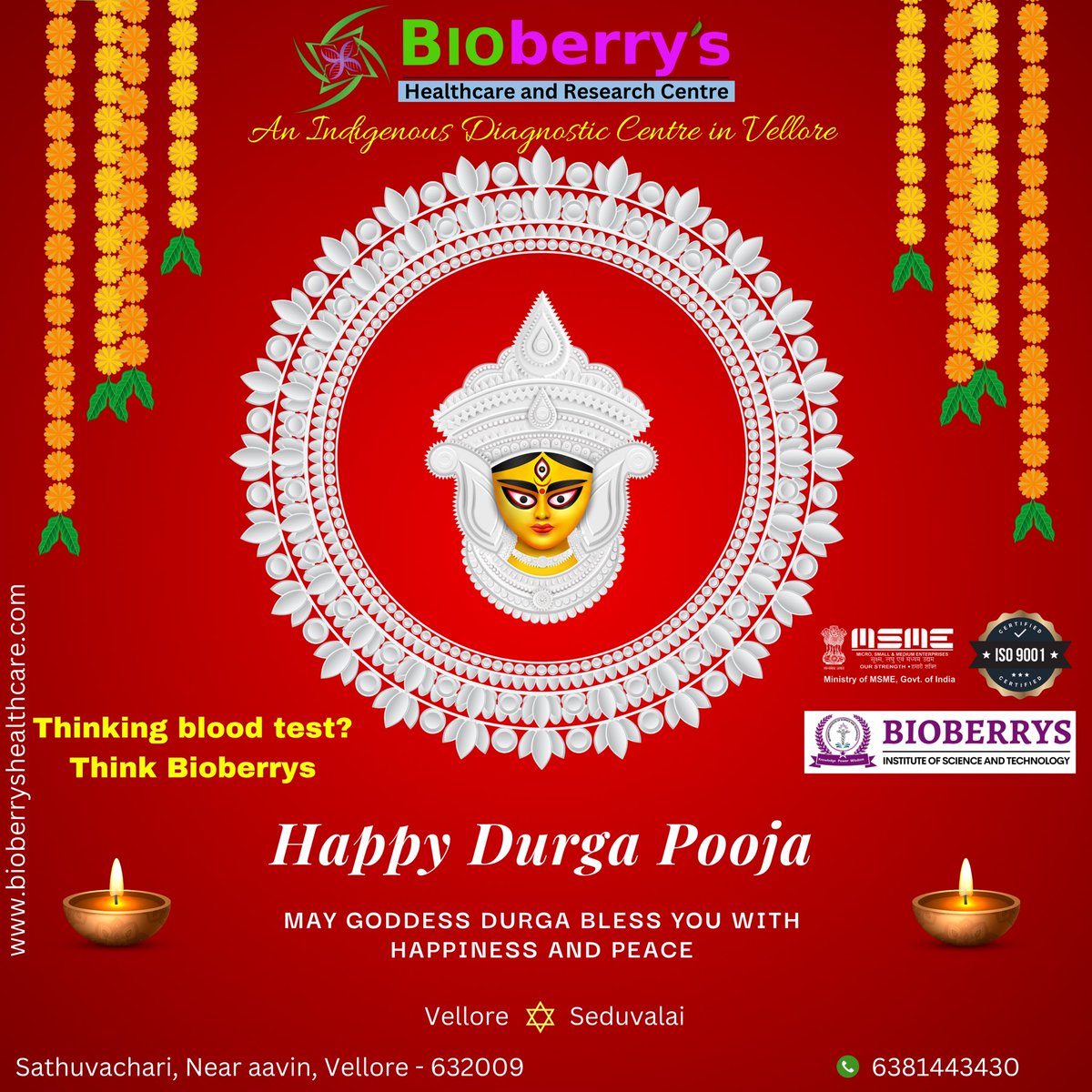 bioberrys's tweet photo. Happy Saraswathi pooja and Durga pooja…💐🪷
#durgapuja #durga #pooja #puja #health #healthcheck #healthcare #bloodtest #bioberrys https://t.co/iKX811Q6cM