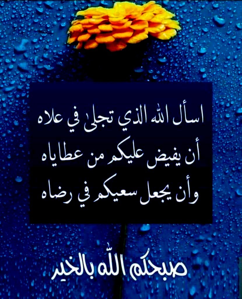 ماء زمزم (@sunm67959) on Twitter photo 