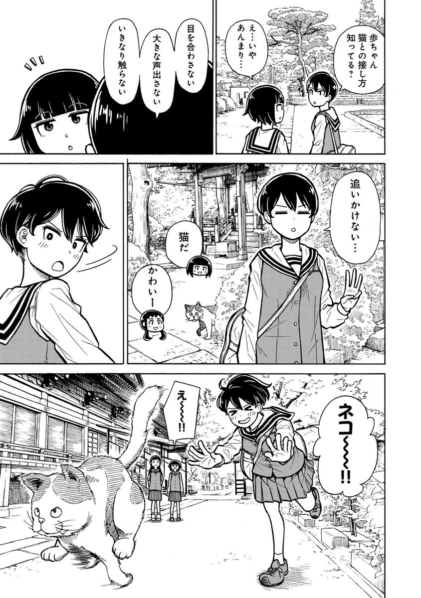 猫が集まるお寺お話(4/5)