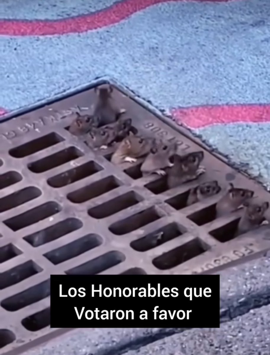 cberrocal's tweet photo. @asambleapa https://t.co/I5rBlRkrvY