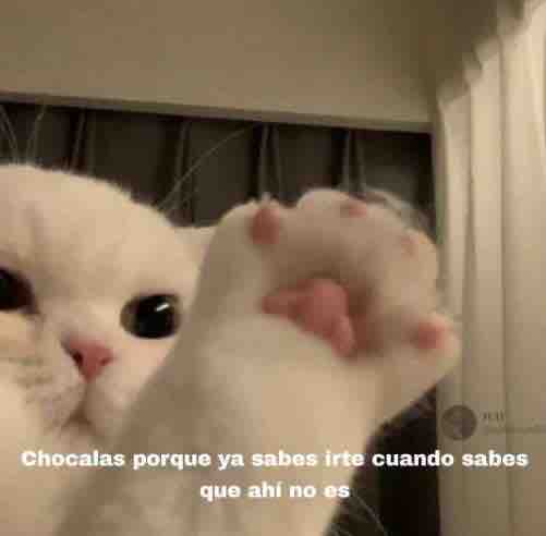 Guarromantico_'s tweet photo. https://t.co/E8X3wzJc4j