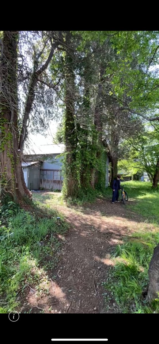 yamadai_kyudo's tweet photo. 現在山形大学弓道部は施設の老朽化と資金難に直面しています。特に工学部弓道場は画像のように非常に悪い環境下で練習を行なっており、道場の修理費用等が必要な状況です（ ; ; ）活動へのご協力よろしくお願いいたします。
https://t.co/FTVvGy03BY
#GivingCampaign https://t.co/1xwDCogNey