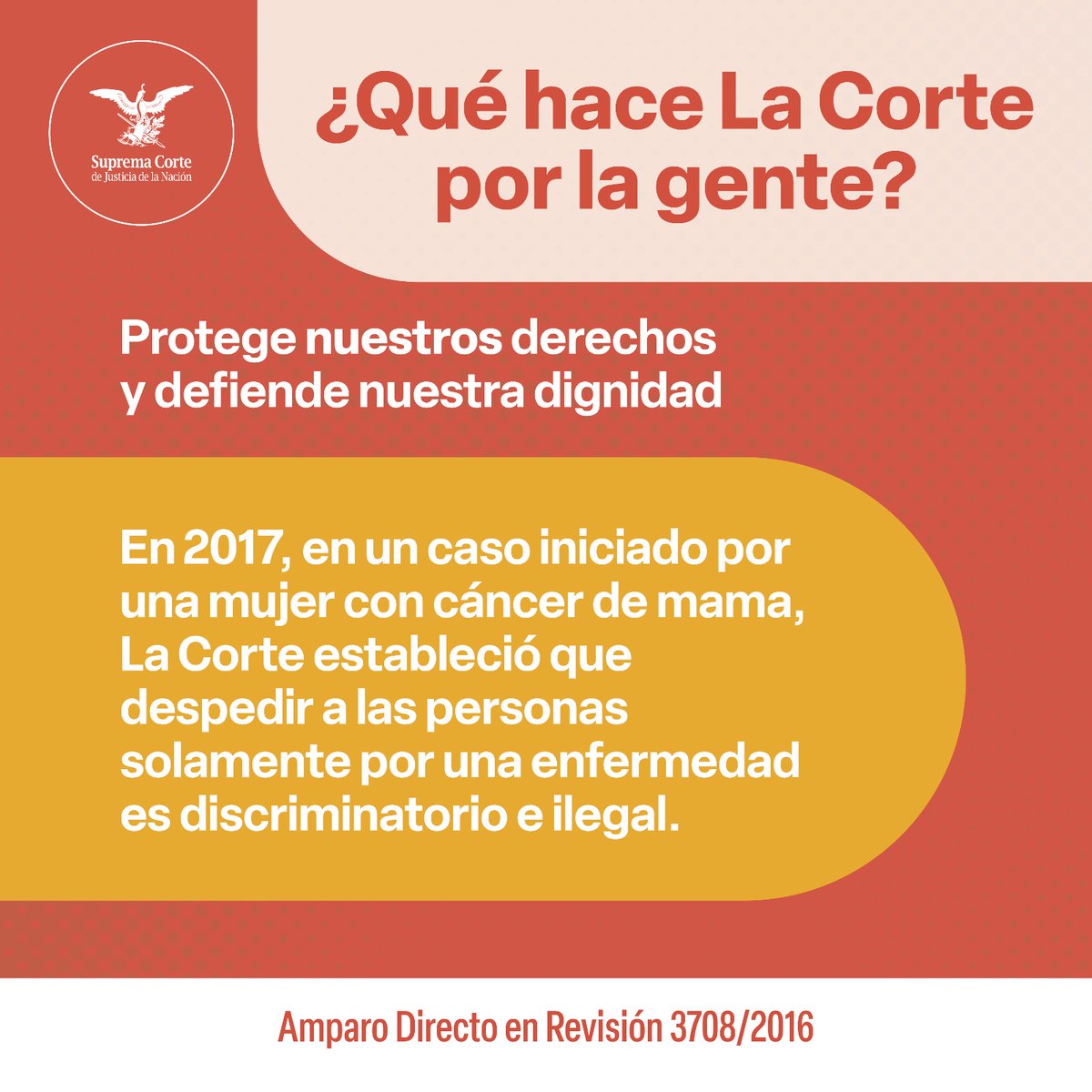 SCJN's tweet photo. ¿Qué hace #LaCorte por la gente?

Estas son tres sentencias de #LaCorte que han protegido el derecho a la seguridad social y a la no discriminación de las y los trabajadores 👇

#LaCorteContigo
#SaberEsTuDerecho https://t.co/KTFel0iFhB