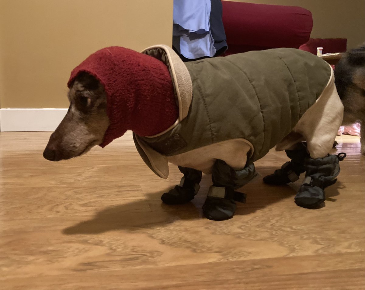 SteveColley1's tweet image. This. Is. Bullshit. #yyc #firstsnowfall