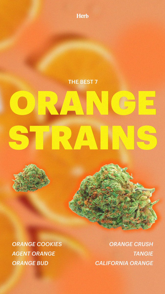 The best orange weed strains 🍊
Read: bit.ly/497zigQ