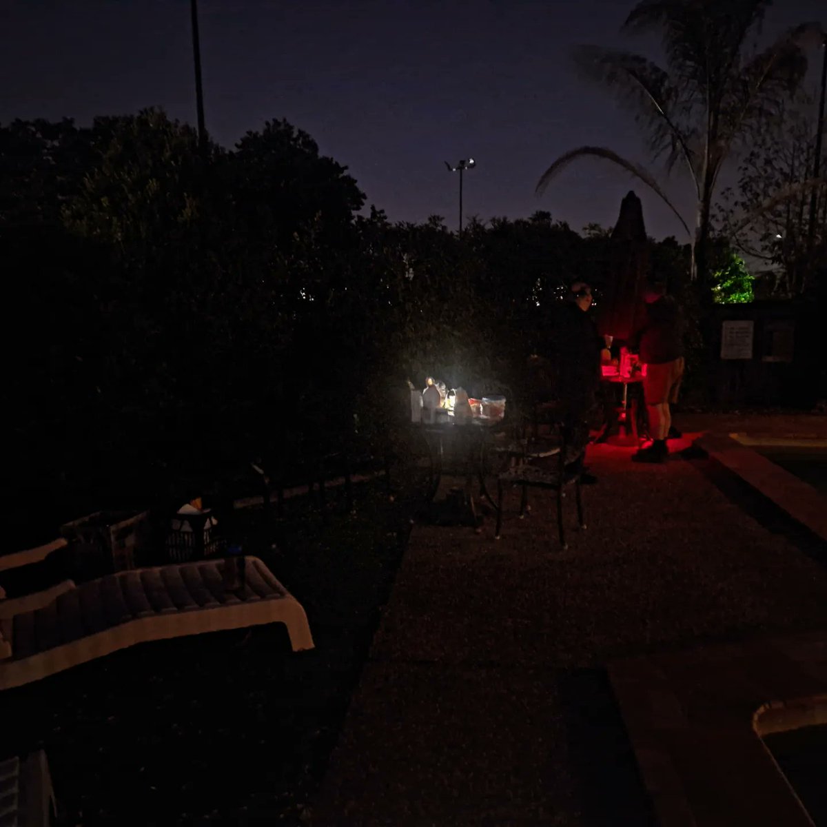 65 Degrees North tweet media