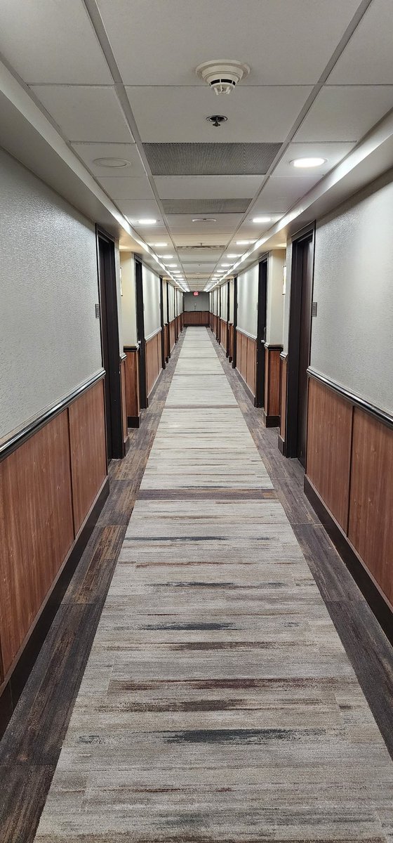 Halloween_Baka's tweet photo. My entire stay in #TwitchConLasVegas every time I entered and left my hotel room I could only think of the frightening demons and ghouls that await me in  @DreadPassage @ManneKinGame Hotel Room Haunting arriving to terrify me on Oct. 25th https://t.co/tairr1gndp https://t.co/mWGfNWZfn9