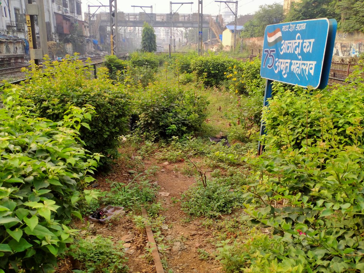 drmmumbaicr's tweet photo. The #Mumbai_Division @Central_Railway gardens, which are kept near the platform, are among the city's most beautiful vistas. These #gardens are a tribute to the passion and commitment of the #Rly_workers, who put in endless hours to turn the busy city into a greener sanctuary. https://t.co/gdysWUGK1P