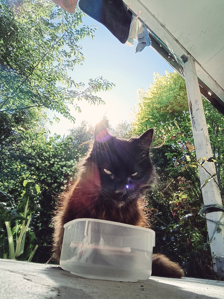 A distinguished older gentlewoman 💕