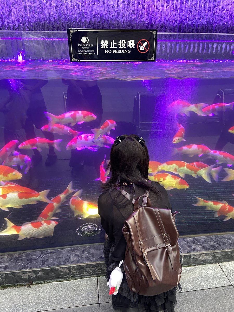 禁止投喂🚫 https://t.co/eAFnKnheY9
