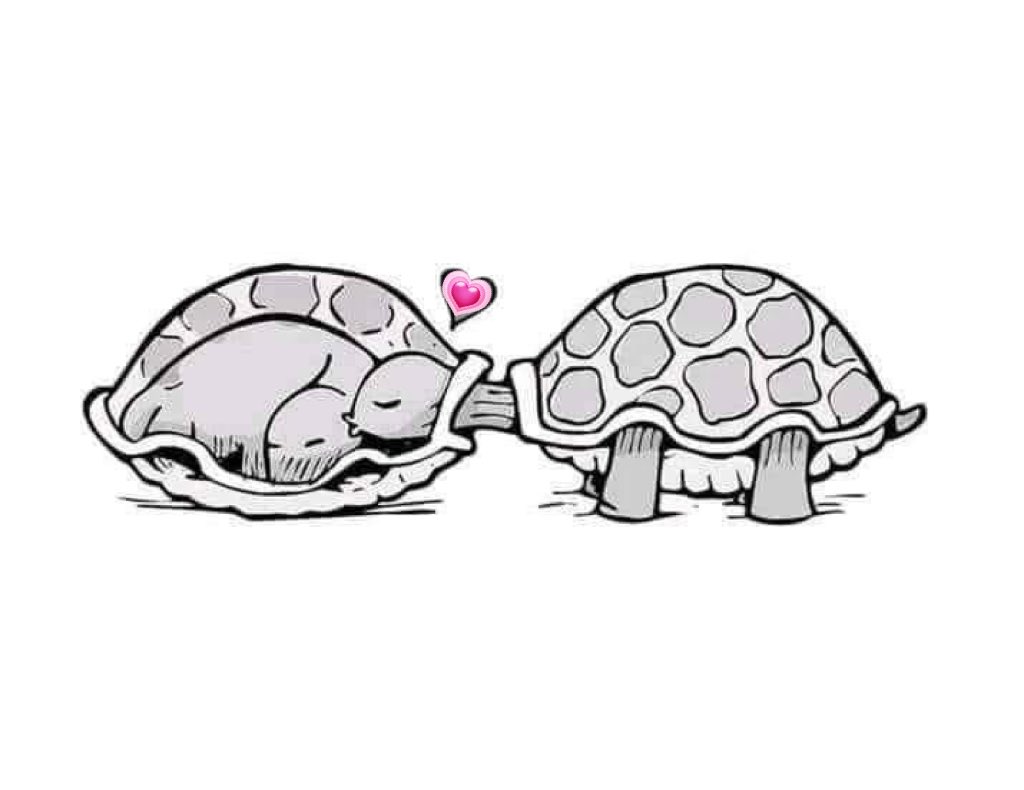 chivassolis's tweet photo. Todas las excusas son mentiras, el que quiere puede. 🖤🐢🤍🐢💗 https://t.co/SGMDU0ul1f