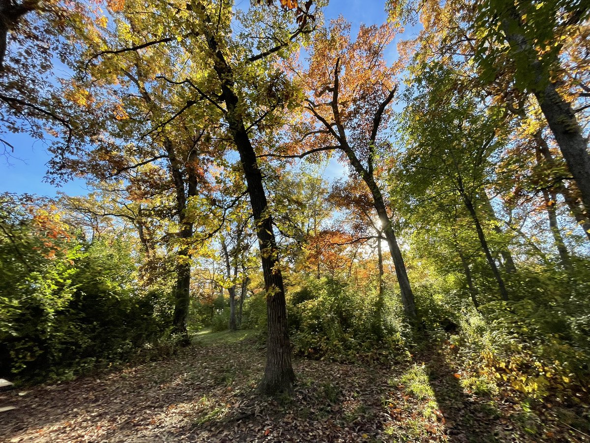 Brian W. Wright tweet media