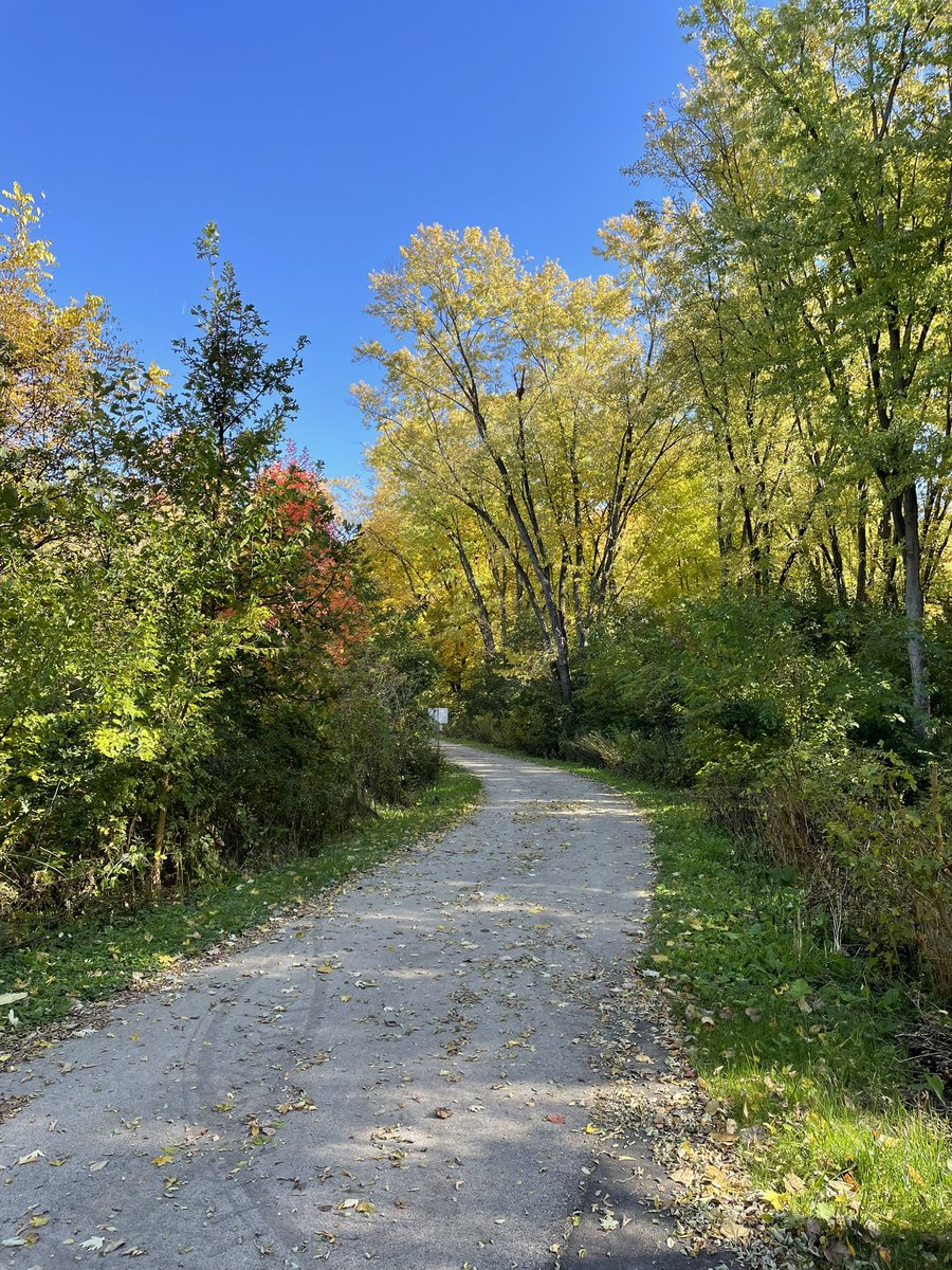 Brian W. Wright tweet media