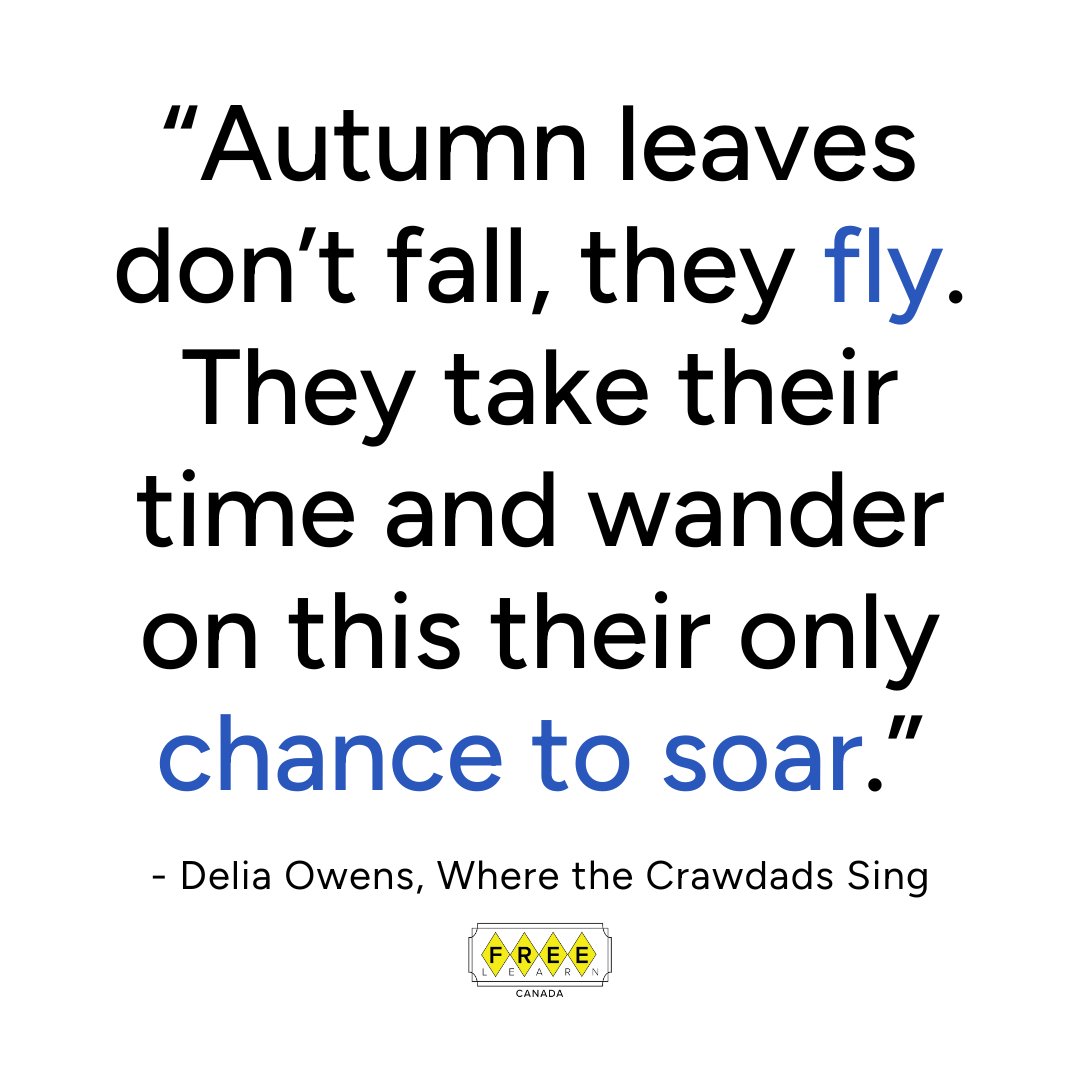 FreeLearnCanada's tweet image. Embrace the magic of fall! 🍂✨ As the leaves take flight, let’s take this opportunity to soar high and embrace new beginnings. #FallIntoLearning #AutumnInspiration #SeasonOfGrowth