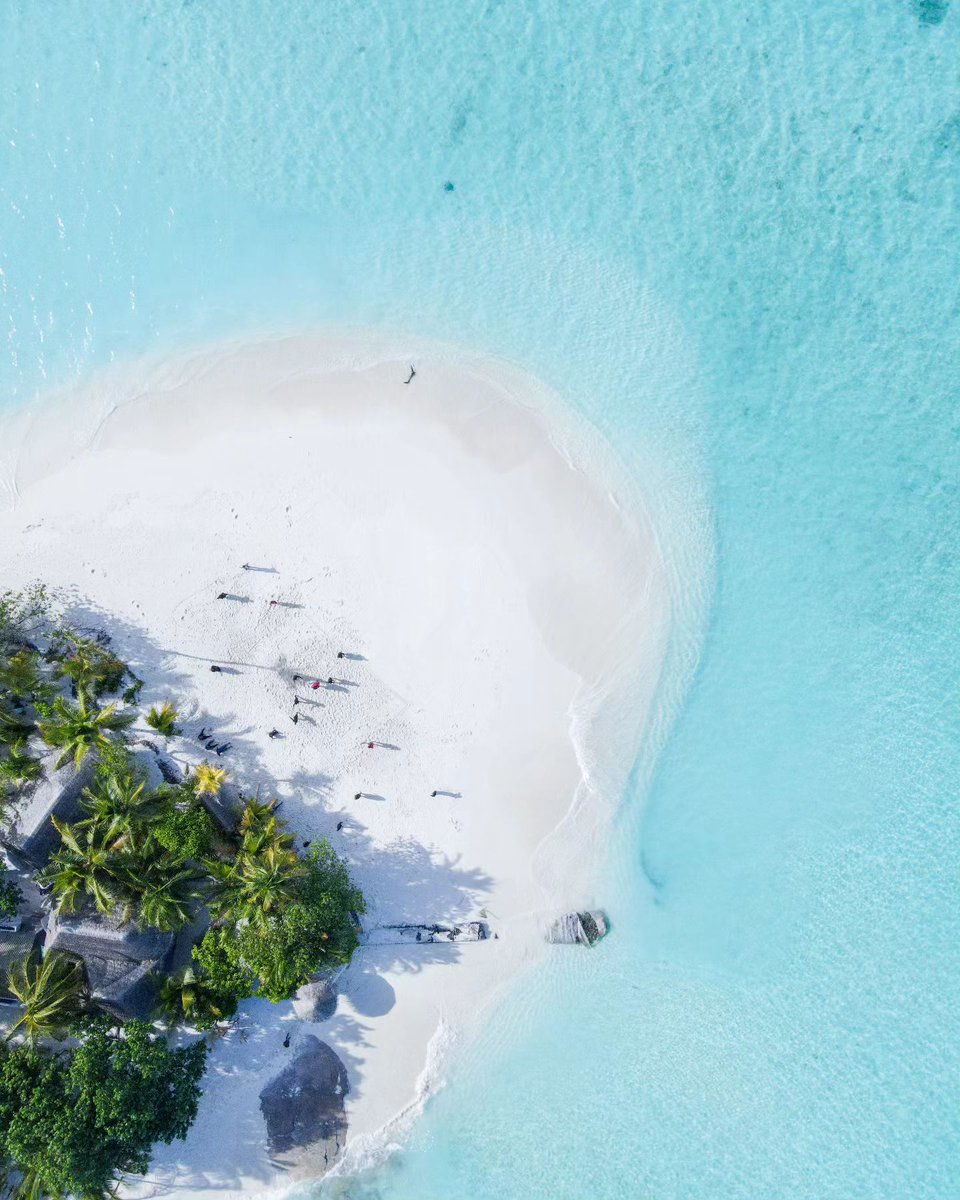 True Beauty 💙
.
.
#visitmaldives #sealife #lifestyle #beachtherapy #travelers #drone #travelers #sea