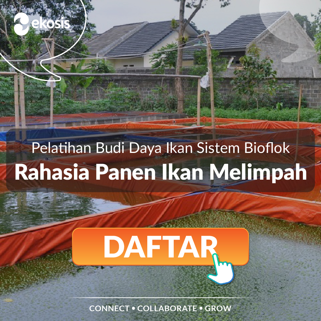 ekosis_id's tweet photo. Yuk segera daftar pelatihan kamu dengan chat dengan menghubungi Admin kami di WA: +62 888-0117-2019 🌊🐟📚

#ekosis #agribisnis #ekosistemagribisnis #direktoriagribisnis #aplikasiagribisnis #budidaya #budidayaikan #budidayaikannila #budidayaikanlele #bioflok #budidayabioflok https://t.co/VvhtvEa4JW