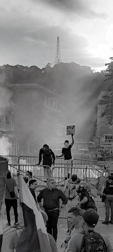 Nancy Pretto tweet media