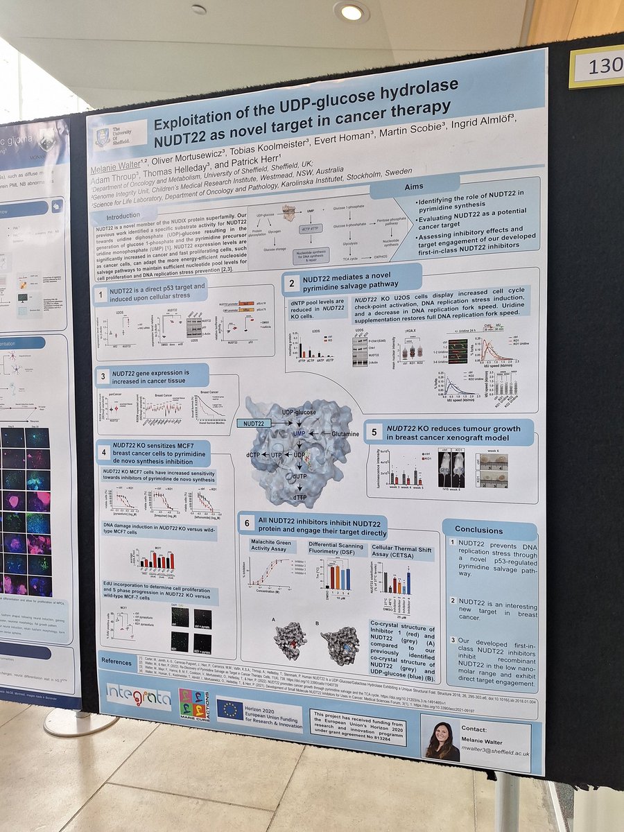 Melanie Walter, PhD tweet media