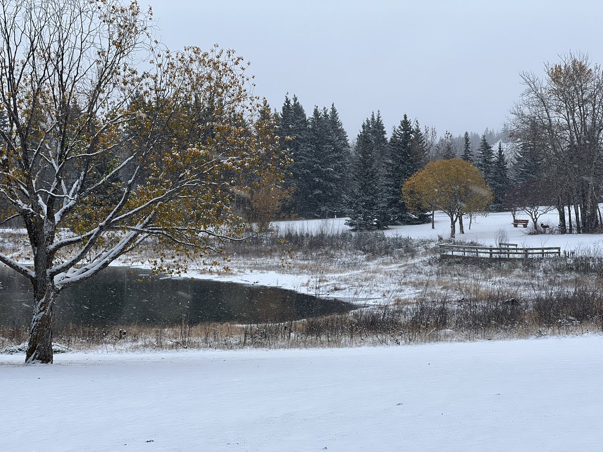 xiranda's tweet photo. Winter has arrived in Edmonton Alberta! Gold bar park https://t.co/dnOHlTruKm