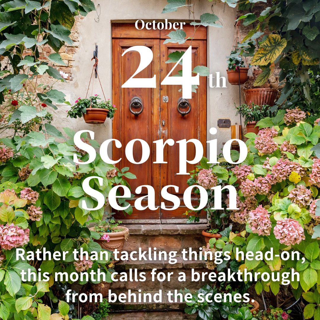 October 24, Tuesday
.
The Sun has moved into Scorpio, marking the start of a one-month "Scorpio Season." This is a period where the spotlight shifts from the surface to what's behind it. A "secret" could emerge in relationships, or existing "hidden relationships" may be revealed.