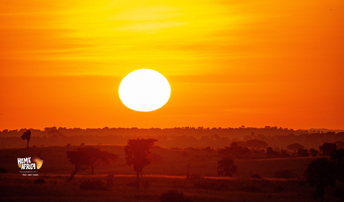 Experience the beauty of Ugandan sunrises and sunsets with HomeToAfrica. Let every sunset whisk away your worries. Book now to explore the enchanting landscapes and wildlife wonders of Uganda. 🌅 #ExploreUganda #Safari #Sunrise #Sunset #WildlifePhotography #hometoafrica #travel