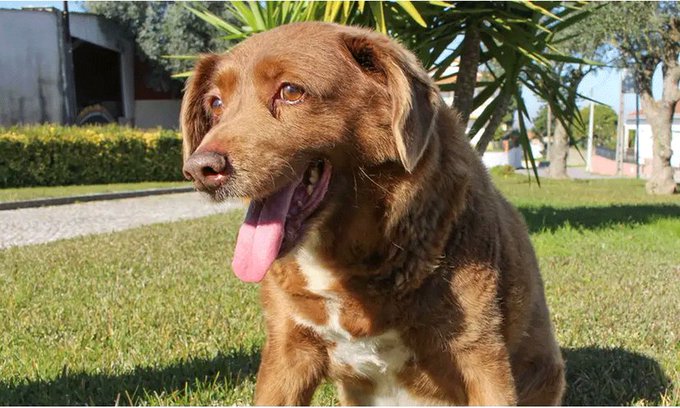 শৈত্যপ্রবাহে বন্ধ থাকবে স্কুল-কলেজ