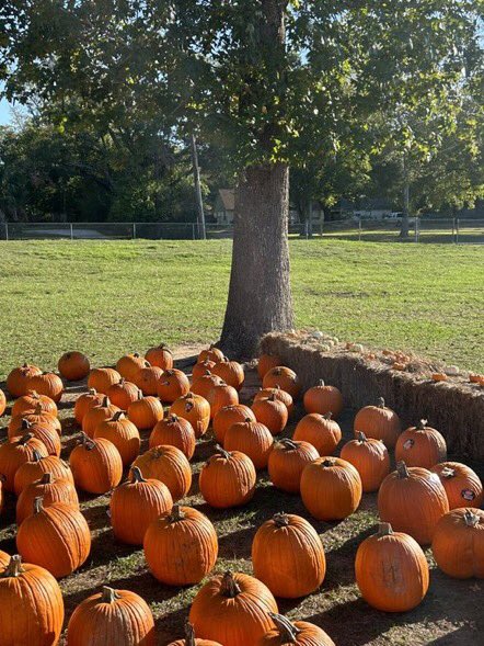 Garrett_TES's tweet photo. Tomball Elementary’s Unified Champions Fall Fundraiser has a huge success. Thank you everyone who came out!
#TISDShiningStars #LoveLaughterLearningInTISD @TomballISD, @TStudentSupport, @gibby1112, @nannewt, @SarahCato_TISD @AliciaMeans4 https://t.co/1voQZEIt4x