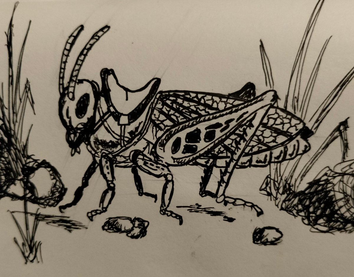 ObreroFuturista's tweet image. #inktober2023 
#Inktober 
#saddle