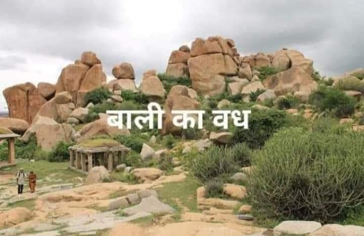 Vatsala Singh tweet media