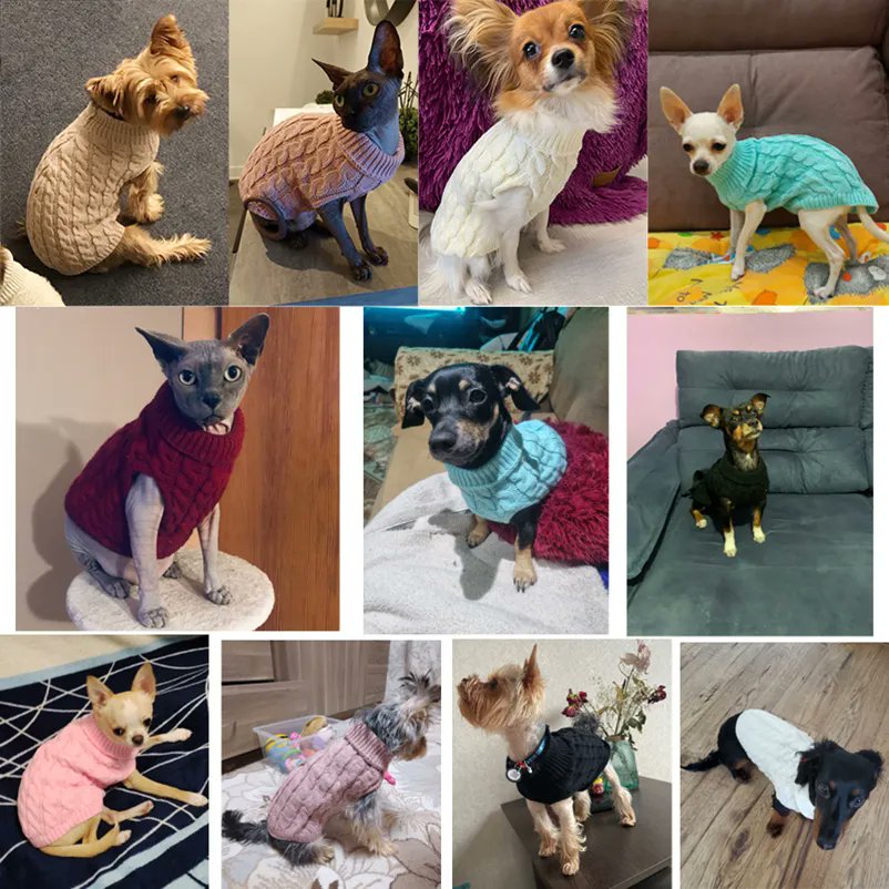 AtKimis's tweet photo. 🦊⛄Stay cozy this winter with our Puppy Dog Sweaters, specially designed for small to medium-sized pets. 🦊⛄

Check it out here
https://t.co/BkJ6YKlN0I

But for 75$ and get one item Free!
#dogfashion #dogfashionista #gifts #giftideas #giftsforher #giftidea #giftsforhim https://t.co/qMCDVtv9zu