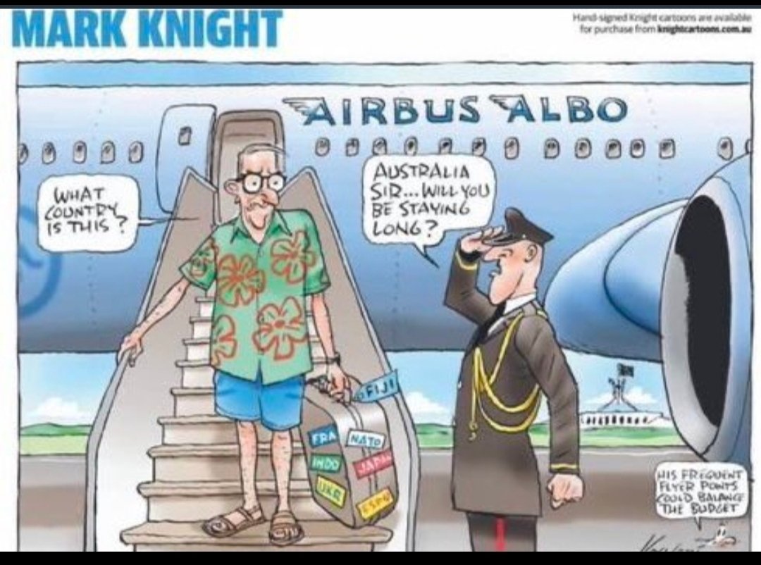 Disillusioned Pragmatist tweet media