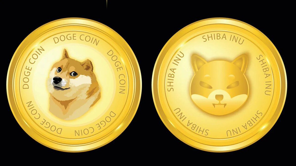 AstroIQ88's tweet photo. ๐ณ๏ธ Attention SHIB Community! ๐ณ๏ธ LEASH token is more than just a crypto asset โ it's your ticket to voting power within the Shibarium ecosystem. Let's build a strong, inclusive community together! ๐ช๐ #Shibarium #LEASHToken #CommunityEmpowerment https://t.co/bBHq2aO5TJ