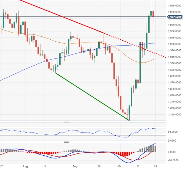 XAU/USD rebounds near $1,980 on downbeat US Dollar

TECHNICAL OUTLOOK #XAUUSD

 Support   - 1968/1955
Resistance - 1985/1990

For more join our premium link
chat.whatsapp.com/FKt5lPnYvE64jm…

#usdtether #busd #usdc #cryptocoins #dollar #usdollar #usdollars #blueedgecrypto