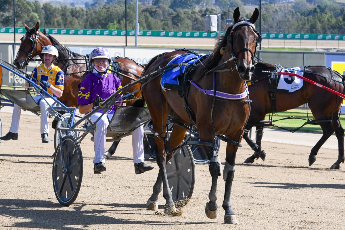 Club Menangle tweet media