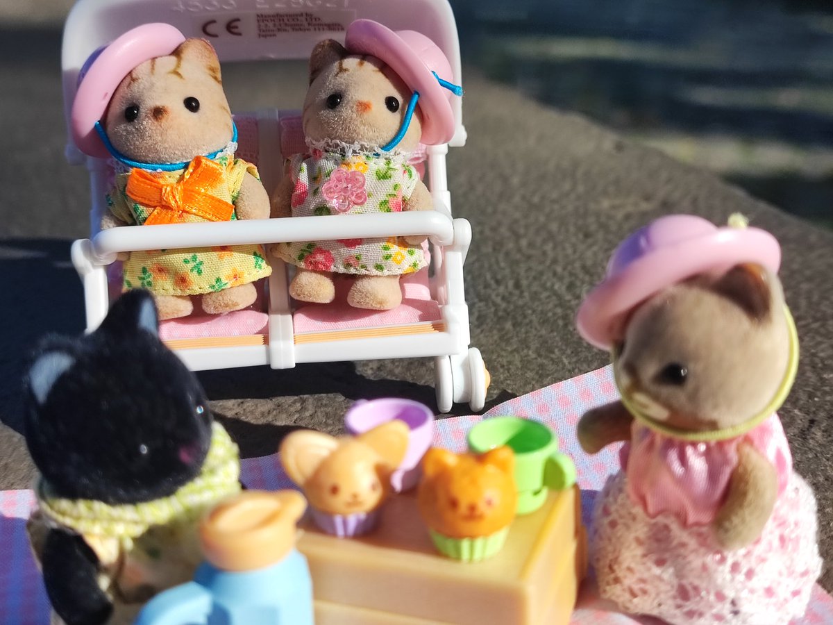 Shima Be Like ~ Picnic with a view 
#cute  #かわいい #cutenessOVERLOAD  #シルバニアファミリー #シマネコ #シルバニアの赤ちゃん 
#calicocritters #SylvanianFamilies #ShimaBebe #ObiVanta #TheShimmers   #Germany2023 #Köln #HohenzollernBridge #RhineRiver #Rhine