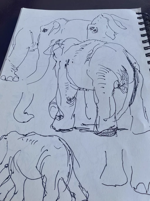 ゾー