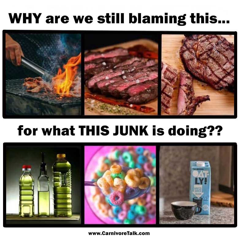 Poor red meat. Innocent, but always getting the blame.

#carnivorediet #carnivoreketo #carnivorelifestyle #carnivore #keto #ketodiet #ketovore #ketovorediet #lowcarb #animalbasednutrition #animalbaseddiet #animalbased #eatmeat