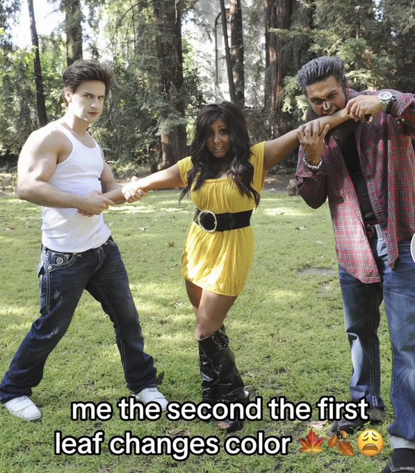 I saw this on tiktok today and I was crying laughing for a solid 10 mins so I gotta share with y&rsquo;all