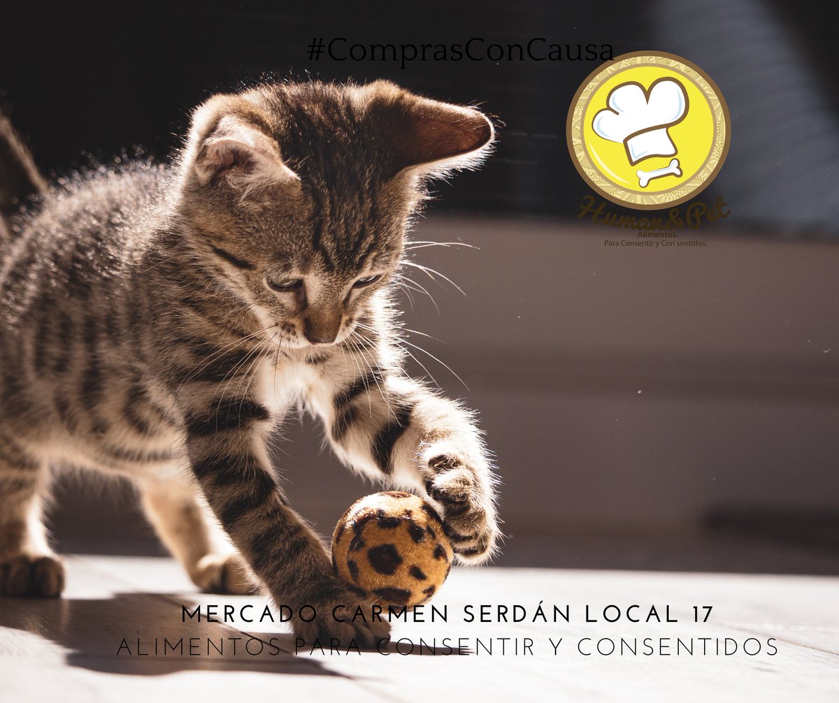 Human&Pet Alimentos tweet media