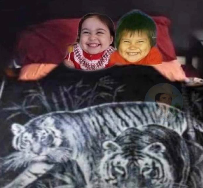 Algún día estaremos bajo la misma cobija de tigre mailob.