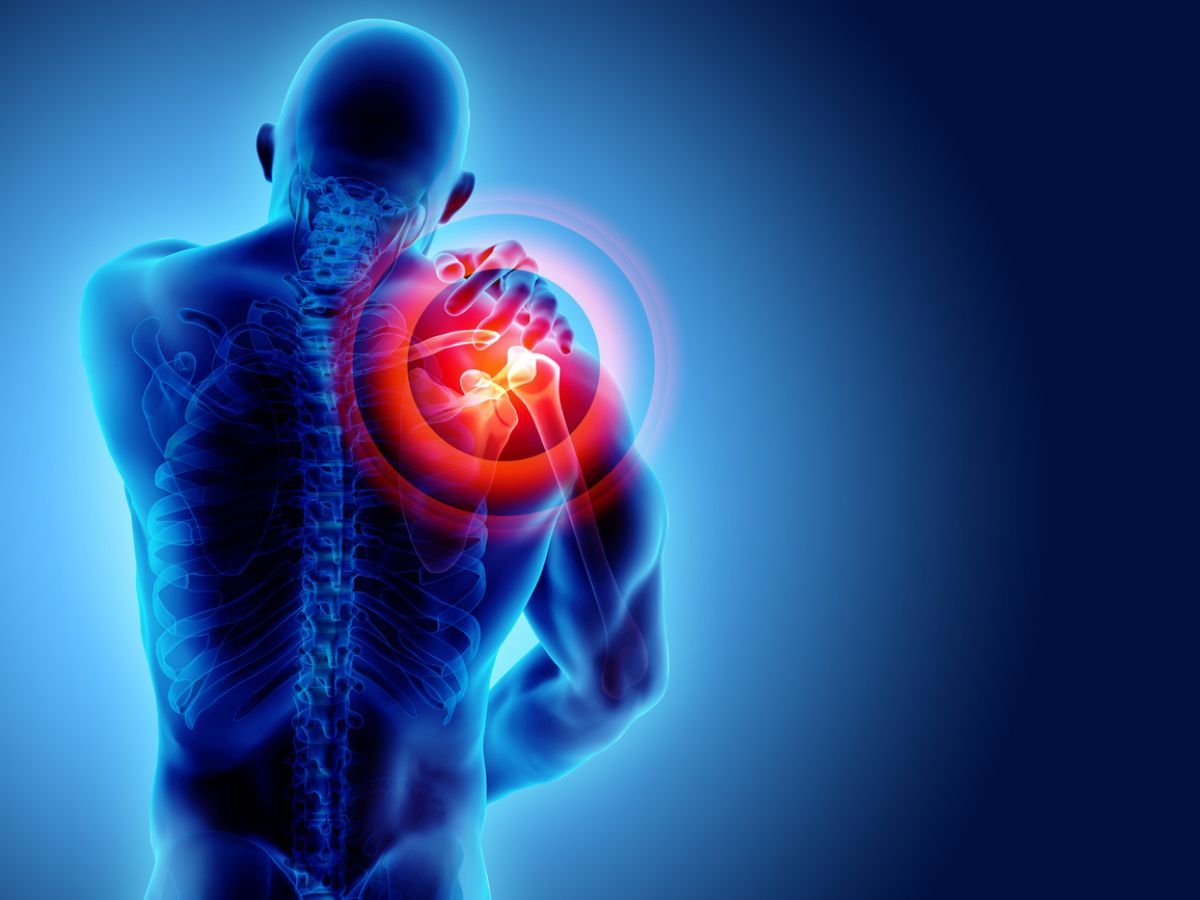 fixyourfitness1's tweet photo. It's not just a knee or an elbow. It's the hinge of your adventures, the axis of your activities. 

https://t.co/lMgg3PDLBR 

#joints  #jointpain https://t.co/5s2fsylk09