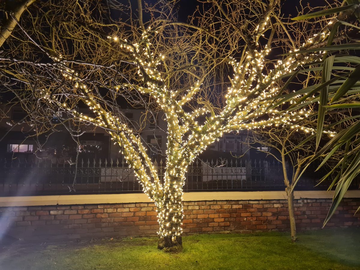 Make your evenings simply dazzle! ✨

If you'd like your tree professionally wrapped in lights, we're happy to call out and discuss all your options ✨🌳✨

Contact us today - bit.ly/3Bvmos4