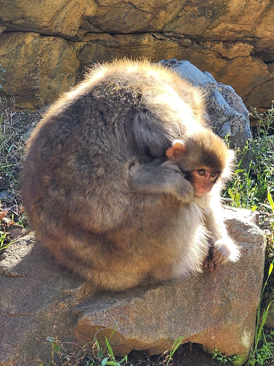 Kathryn Reusch tweet media