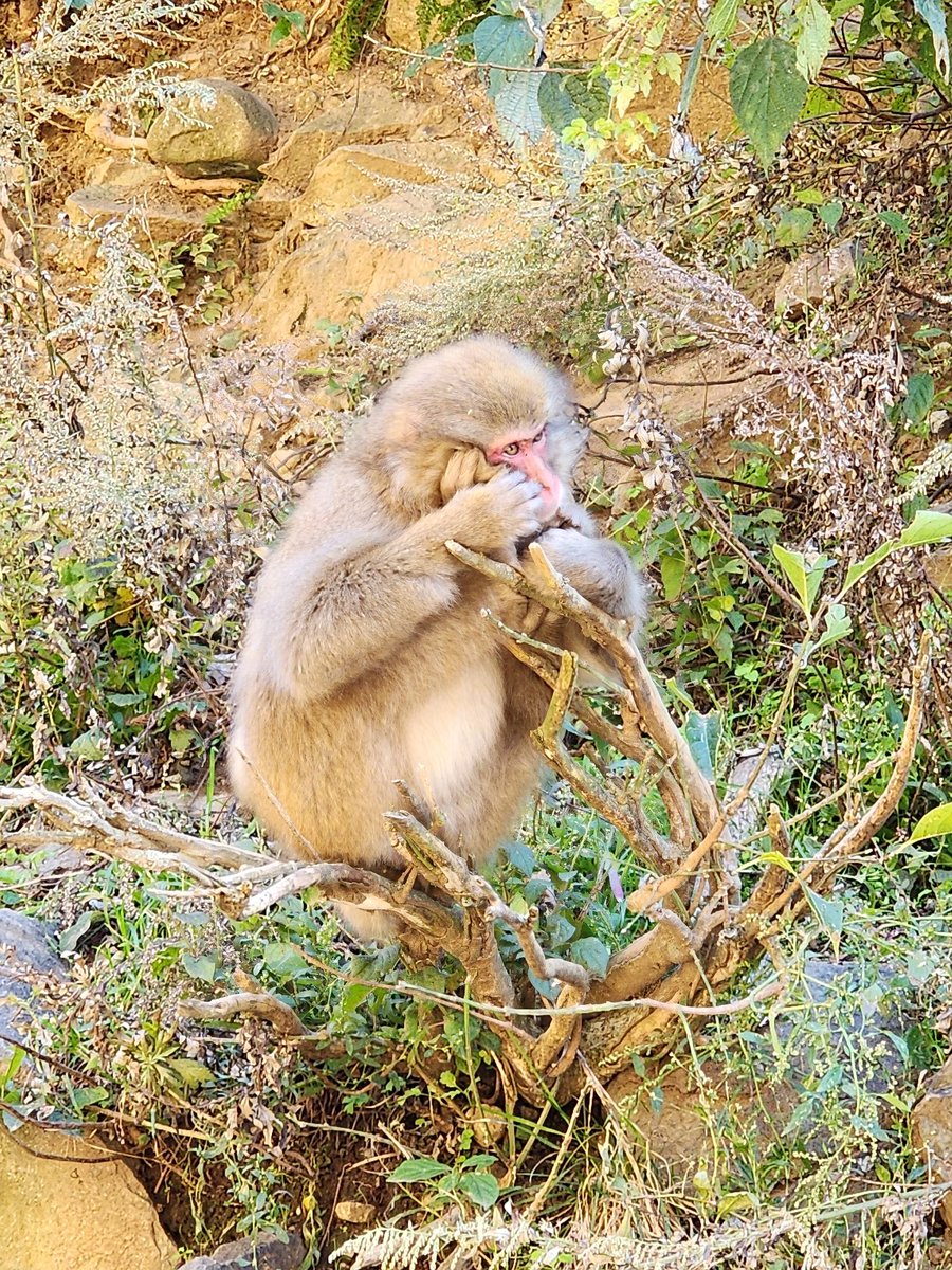 Kathryn Reusch tweet media