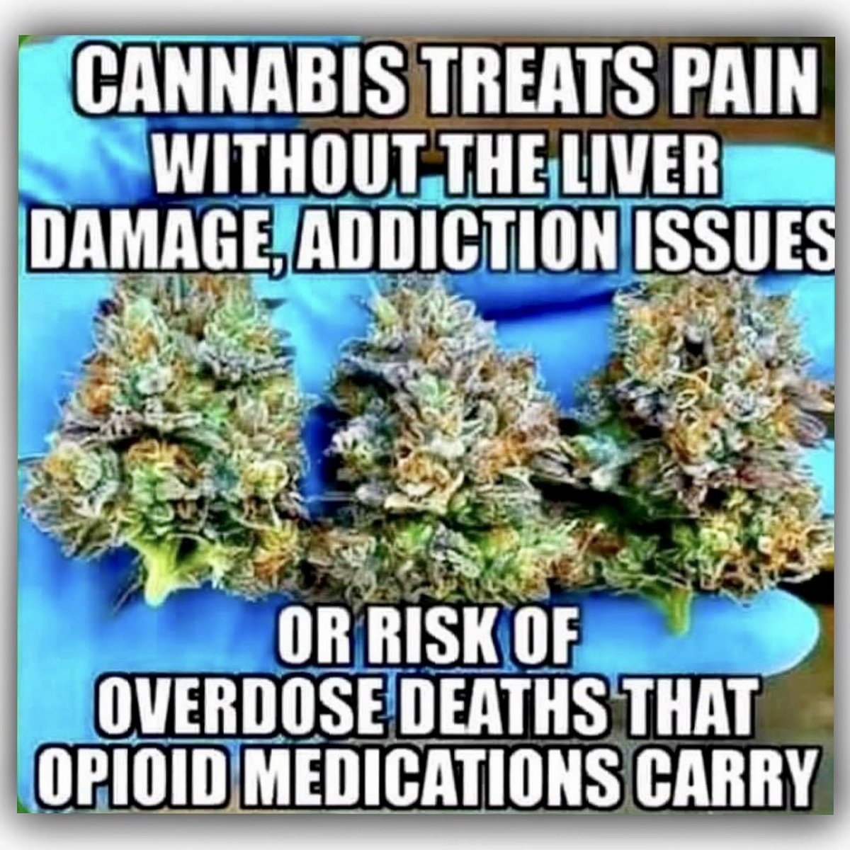 420's tweet photo. it's 4:20 https://t.co/BConiffcA4