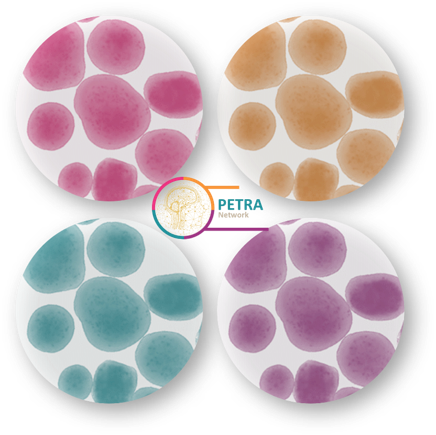 PETRA Network (@network_petra) on Twitter photo 📷Wednesday's picture:
These are #tumoroids generated from human #glioblastoma.
They are like mini-tumors in a Petri dish on which researchers are testing new #therapeutic molecules.
It's a promising tool for moving towards #personalised medicine in the years to come. <a href="/aphm_actu/">AP-HM - Hôpitaux Universitaires de Marseille</a> 📷Wednesday's picture:
These are #tumoroids generated from human #glioblastoma.
They are like mini-tumors in a Petri dish on which researchers are testing new #therapeutic molecules.
It's a promising tool for moving towards #personalised medicine in the years to come. <a href="/aphm_actu/">AP-HM - Hôpitaux Universitaires de Marseille</a>