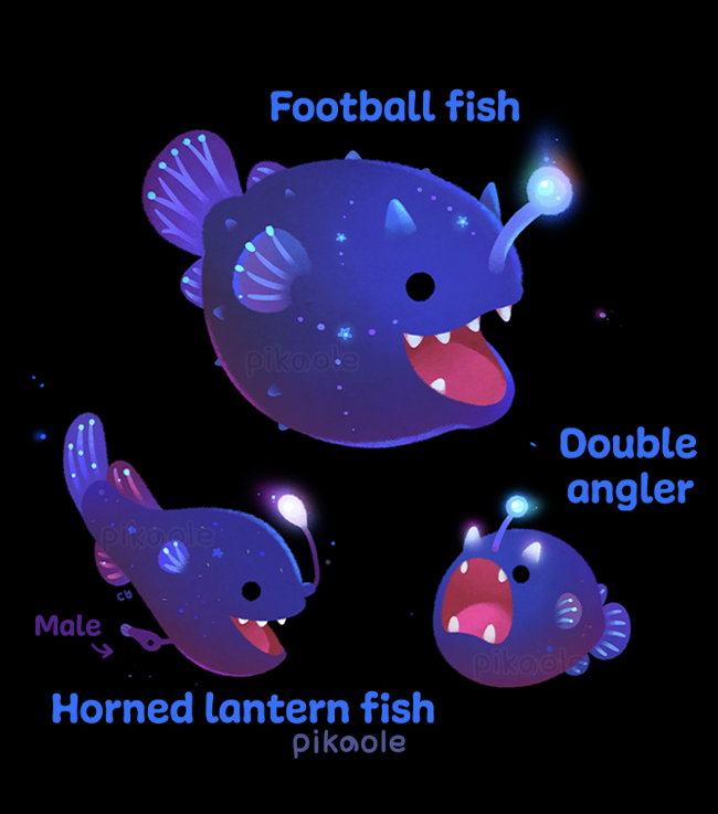 pikaole on X: Deep sea angler fish are famous for their fearsome